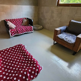 Hundezimmer.