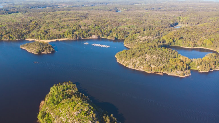Die Landschaft in Finnland ist geprägt von dichten Wälder, See und weiten, unberührten Naturgebieten. Symbolfoto.