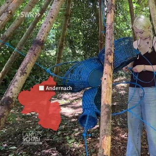 Studierende machen aus nutzlosem Kram Kunst