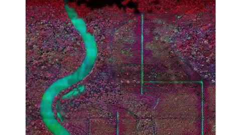 Kunsthalle Mainz - Sprich alte Haube wo fehlts