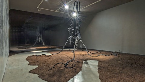 Binta Diaw, Reeni Yakar: Les racines de l'espoir, 2022