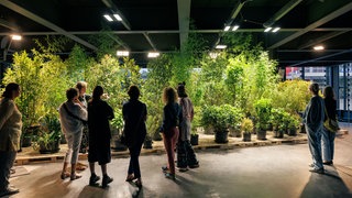 Ausstellung von Eva-Maria Lopez, Phyto-Travellers, 2025