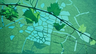 Stefan Bertalan, ca. 1970–1980