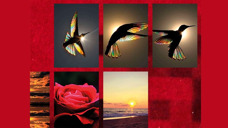 Zoé Aubry, aus #Ingrid, 2022