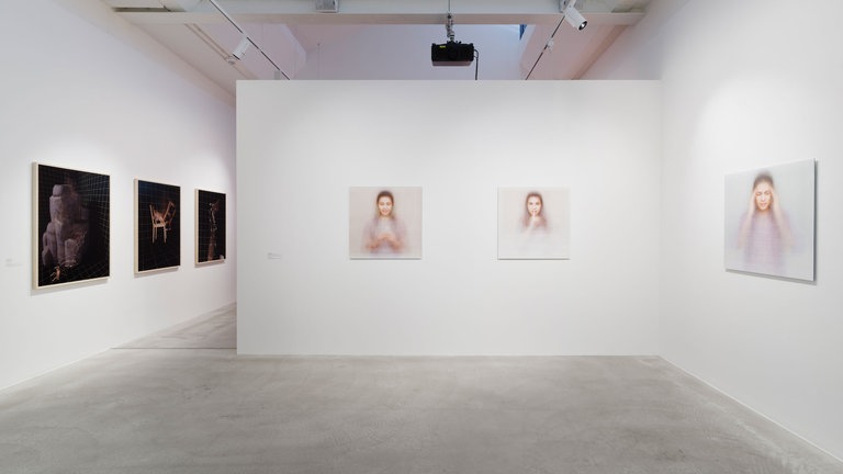 Ausstellungsansicht: The Lure of the Image – Wie Bilder im Netz verlocken