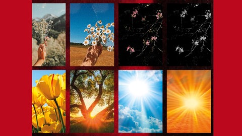 Zoé Aubry, aus #Ingrid, 2022