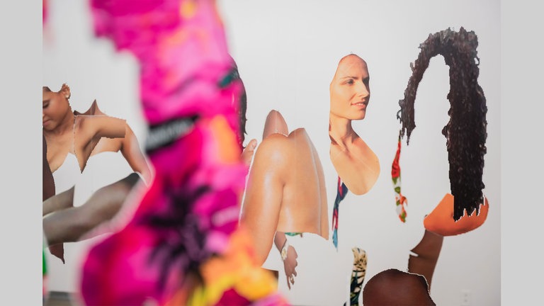 Joiri Minaya, aus #dominicanwomengooglesearch, 2016