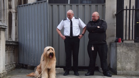 Bild von Bankys an Londoner Gerichtsgebäude