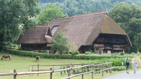 Besucher gehen auf dem Gelände des Freilichtmuseums Vogtsbauernhof auf einem Weg.