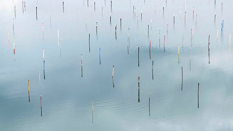 Kunstinstallation von Lois Hechenblaikner: Rund 280 Skier ragen aus dem künstlichen Speichersee am Hartkaiser 