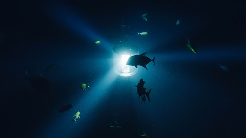 Julian Charrière: Midnight Zone (Film still), 2024