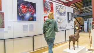 Eine Frau betrachtet Kunstwerke und eine Skulptur in einer Galerie im Rathaus Calw.