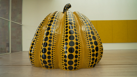 Gelber Kürbis mit schwarzen Punkten steht in Ausstellung.