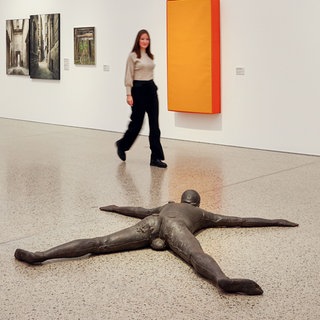 Ausstellungsansicht „FOCUS - Neue Blicke auf die Sammlung Würth“
