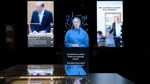 Im Fokus - Wahlkampf radikal, Ausstellung im Haus der Geschichte Baden-Württemberg