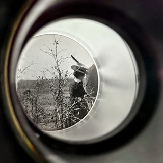 Kathrin Sonntag, The Travelling Eye, 2024, Digitale Bildprojektion auf Basis der Fotografien von Gabriele Münter