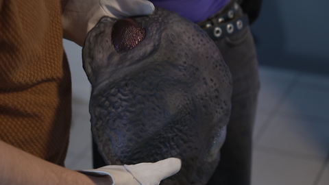 Mistkäferkunst aus Keramitk vom Künstler-Duo Super Vivaz