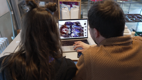 Mistkäferkunst aus Keramitk vom Künstler-Duo Super Vivaz