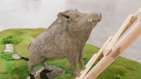  SUPER VIVAZ "Euch gehören die Bäume - uns gehört der Wald"