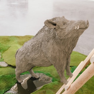  SUPER VIVAZ "Euch gehören die Bäume - uns gehört der Wald"