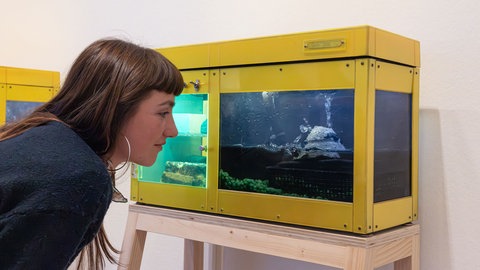 Ausstellungsansicht: Carl Cheng: Nature Never Loses.