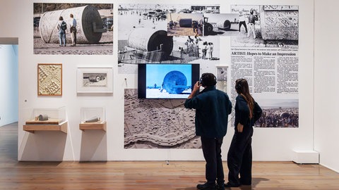 Ausstellungsansicht: Carl Cheng: Nature Never Loses