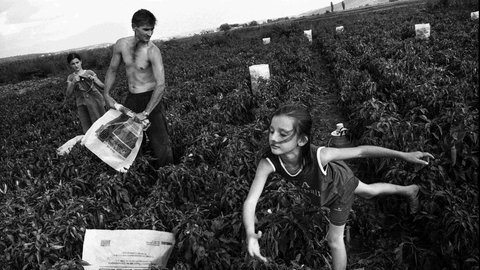 Foto von Ivo Saglietti