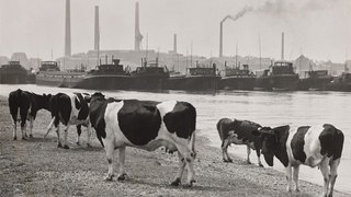 Landesmuseum Bonn - Schöne neue Arbeitswelt