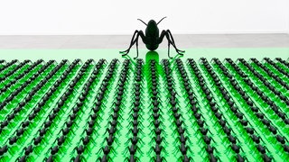 Die Installation Invasion der Künstlerin Nessi Nezilla 