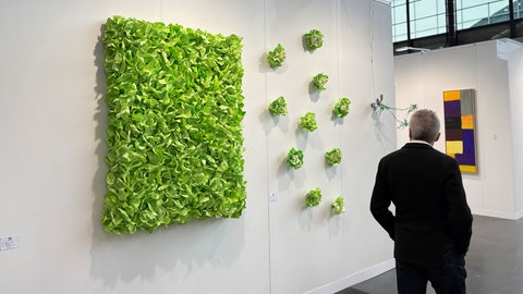 Salatköpfe von Stefan Gross (Galerie Chief & Spirits)