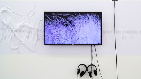 Anna Barham: Out of the gravel, IAC Villeurbanne, FR, 2022