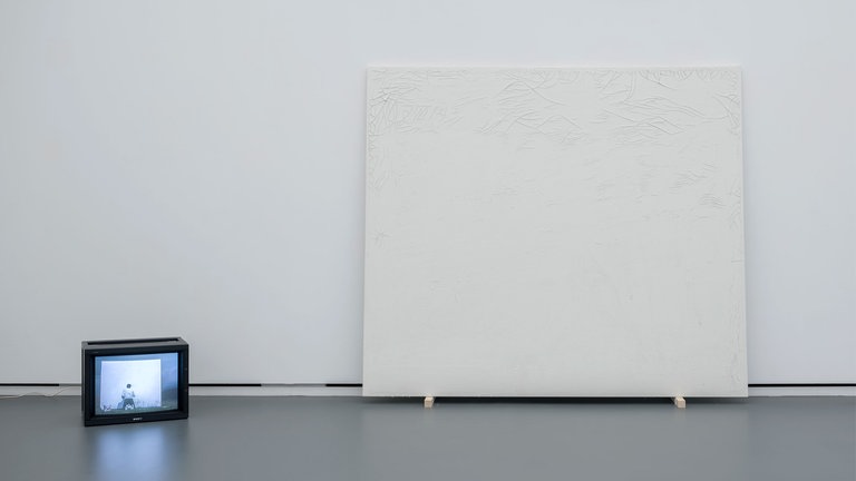Remi Zaugg (1943–2005), 8 Stunden weiss, 1988