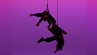 Installationsansicht: Angelica Mesiti, Sidereal, 2024