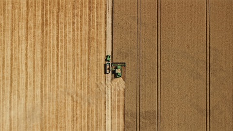 Angelica Mesiti, The Rites of When (Videostill), 2024