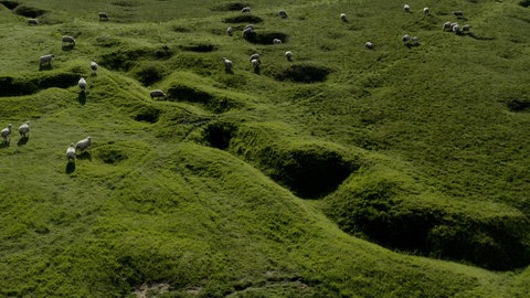 Angelica Mesiti, A Hundred Years (Videostill), 2020