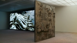 Installationsansicht, Pierre Huyghe