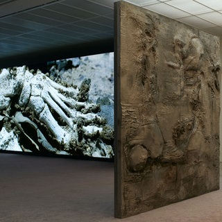 Installationsansicht, Pierre Huyghe