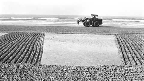 Traktor an einem Sandstrand, im Sand ist die Fläche eines Trapez' zu sehen