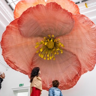 Bloom up! Die Sprache der Blumen in der Staatliche Kunsthalle Baden-Baden