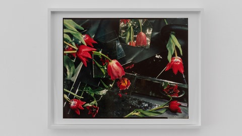 Bloom up! Die Sprache der Blumen in der Staatliche Kunsthalle Baden-Baden