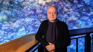 Yadegar Asisi steht vor seinem Panorama des „Great Barrier Reef“