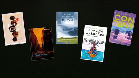 Lesenswert Bücher vom 09.06.2024