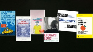 lesenswert Bücher vom 26.1.2025