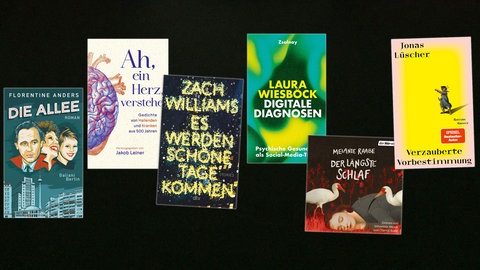 Lesenswert Bücher vom 09.02.2025