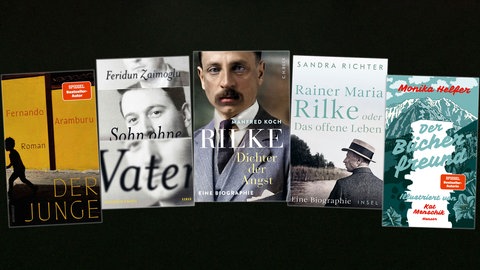 lesenswert Bücher vom 16.2.2025