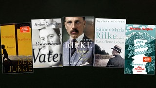 lesenswert Bücher vom 16.2.2025