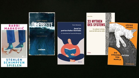 lesenswert Bücher vom 11.5.2025