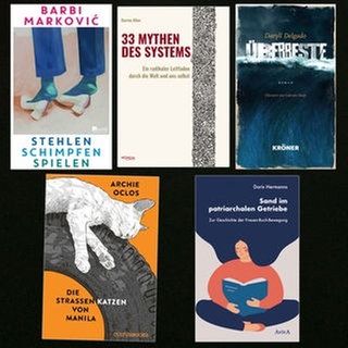 lesenswert Bücher vom 11.5.2025