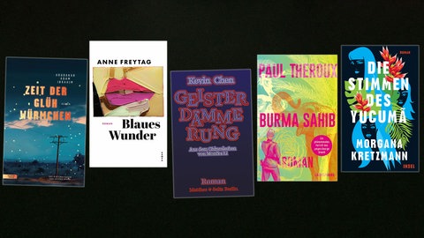 Lesenswert Bücher vom 22.06.2025