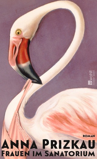 Anna Prizkau - Frauen im Sanatorium